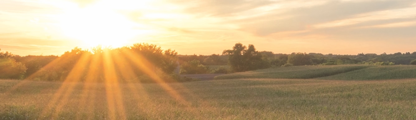 Sunrise over an open landscape with fields, trees, and warm sunlight, representing peaceful surroundings like Villas at Stoney Point